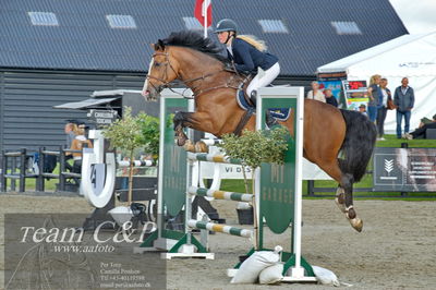 Absolut horses
Mb 130cvm
Nøgleord: kamilla ladefoged rasmussen;verancini dh z