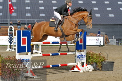Absolut horses
Mb 130cvm
Nøgleord: filippa sand ibsen;question of love