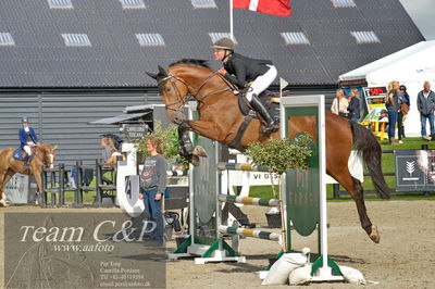 Absolut horses
Mb 130cvm
Nøgleord: filippa sand ibsen;question of love