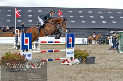 Absolut horses
Mb 130cvm
Nøgleord: kasper  h hansen;katrinelund satisfaction