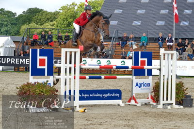 Absolut horses
Mb 130cvm
Nøgleord: tina lund;celvita z