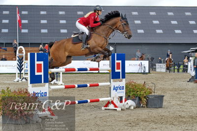 Absolut horses
Mb 130cvm
Nøgleord: tina lund;celvita z