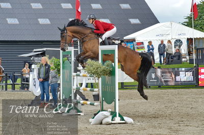 Absolut horses
Mb 130cvm
Nøgleord: tina lund;celvita z