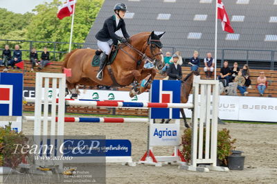 Absolut horses
Mb 130cvm
Nøgleord: xenia loft strandgaard;diamant