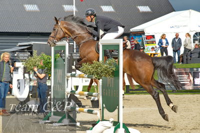 Absolut horses
Mb 130cvm
Nøgleord: mikkel friedrich;a cornelis z