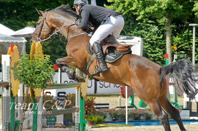 Absolut horses
Mb 130cvm
Nøgleord: mikkel friedrich;a cornelis z