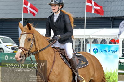 Absolut horses
Mb 130cvm
Nøgleord: mette askham jensen;rochester