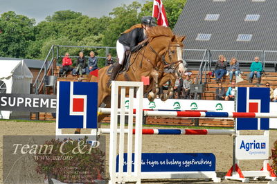 Absolut horses
Mb 130cvm
Nøgleord: mette askham jensen;rochester