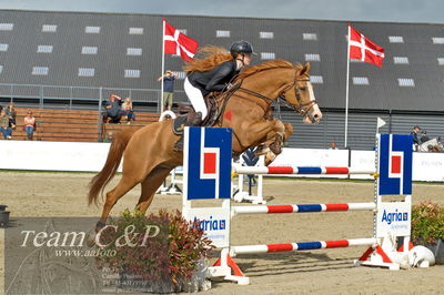 Absolut horses
Mb 130cvm
Nøgleord: mette askham jensen;rochester