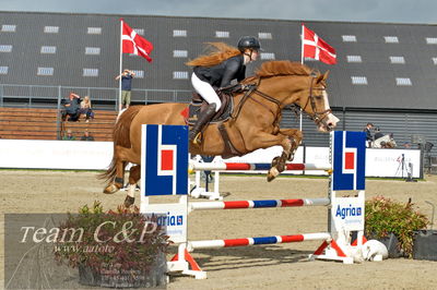 Absolut horses
Mb 130cvm
Nøgleord: mette askham jensen;rochester