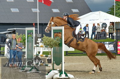 Absolut horses
Mb 130cvm
Nøgleord: mette askham jensen;rochester