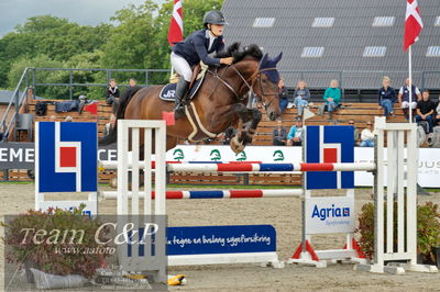 Absolut horses
Mb 130cvm
Nøgleord: rie rose lindegren roed;calalou