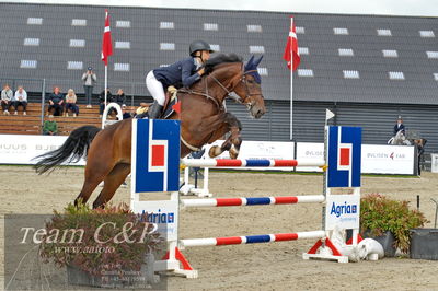 Absolut horses
Mb 130cvm
Nøgleord: rie rose lindegren roed;calalou