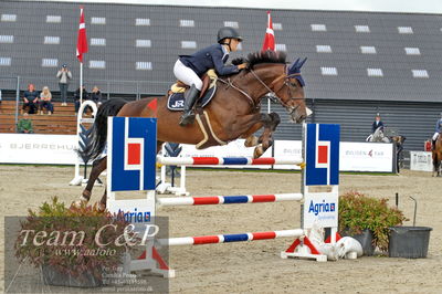 Absolut horses
Mb 130cvm
Nøgleord: rie rose lindegren roed;calalou