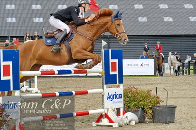 Absolut horses
Mb 130cvm
Nøgleord: alexander godsk;happy thoughts
