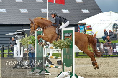 Absolut horses
Mb 130cvm
Nøgleord: cecilie kjær;chintano