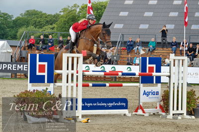 Absolut horses
Mb 130cvm
Nøgleord: tina lund;charlotte del colle