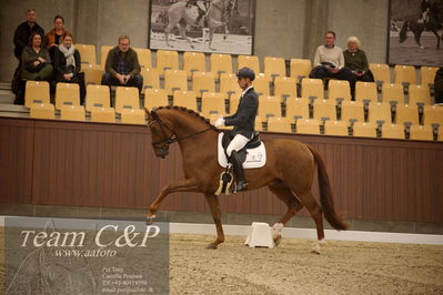 Blue Hors
4års dresssur finale
Nøgleord: my vitality;eric guardia marrtinez