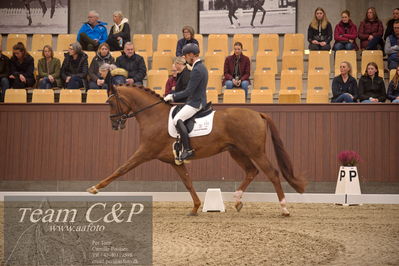Blue Hors
4års dresssur finale
Nøgleord: my vitality;eric guardia marrtinez