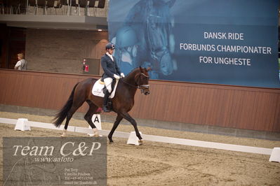 Blue Hors
4års dresssur finale
Nøgleord: qamar;moises jover azuar