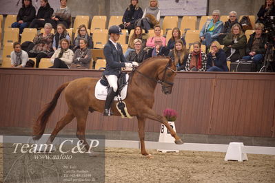 Blue Hors
4års dresssur finale
Nøgleord: my vitality;eric guardia marrtinez