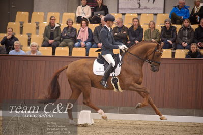Blue Hors
4års dresssur finale
Nøgleord: my vitality;eric guardia marrtinez