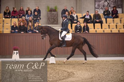 Blue Hors
4års dresssur finale
Nøgleord: qamar;moises jover azuar