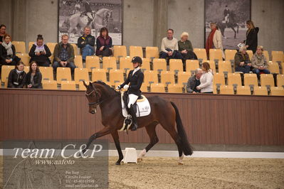 Blue Hors
4års dresssur finale
Nøgleord: faretti dwb;mette sejbjerg jensen