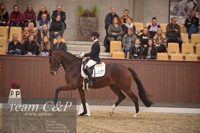 Blue Hors
4års dresssur finale
Nøgleord: faretti dwb;mette sejbjerg jensen