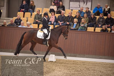 Blue Hors
4års dresssur finale
Nøgleord: faretti dwb;mette sejbjerg jensen