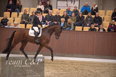 Blue Hors
4års dresssur finale
Nøgleord: atterupgaards bonamassa;selina solberg vittinghus