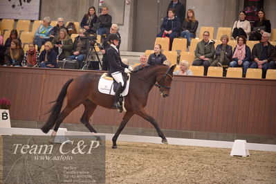 Blue Hors
4års dresssur finale
Nøgleord: faretti dwb;mette sejbjerg jensen