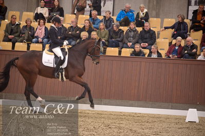 Blue Hors
4års dresssur finale
Nøgleord: faretti dwb;mette sejbjerg jensen