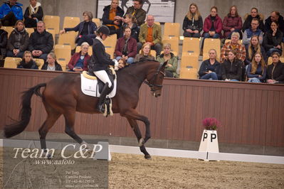 Blue Hors
4års dresssur finale
Nøgleord: faretti dwb;mette sejbjerg jensen