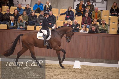 Blue Hors
4års dresssur finale
Nøgleord: atterupgaards bonamassa;selina solberg vittinghus