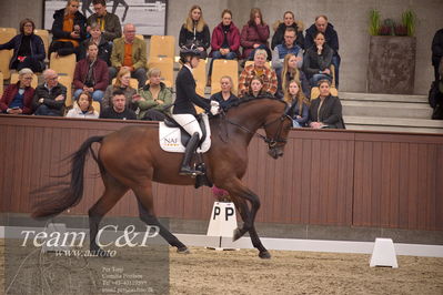 Blue Hors
4års dresssur finale
Nøgleord: atterupgaards bonamassa;selina solberg vittinghus