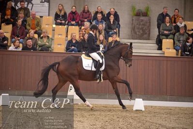 Blue Hors
4års dresssur finale
Nøgleord: faretti dwb;mette sejbjerg jensen