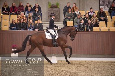 Blue Hors
4års dresssur finale
Nøgleord: atterupgaards bonamassa;selina solberg vittinghus