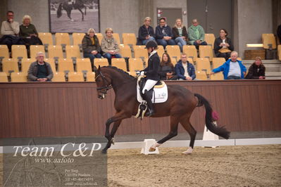 Blue Hors
4års dresssur finale
Nøgleord: faretti dwb;mette sejbjerg jensen
