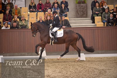 Blue Hors
4års dresssur finale
Nøgleord: faretti dwb;mette sejbjerg jensen
