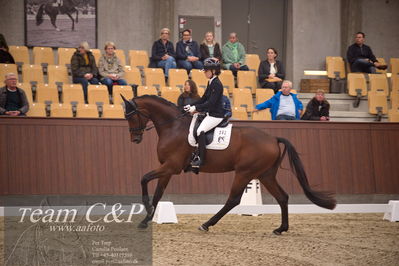 Blue Hors
4års dresssur finale
Nøgleord: atterupgaards bonamassa;selina solberg vittinghus