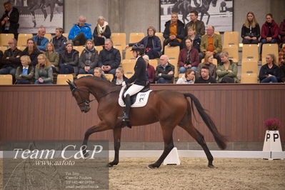 Blue Hors
4års dresssur finale
Nøgleord: atterupgaards bonamassa;selina solberg vittinghus