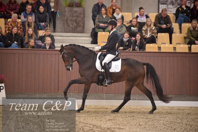 Blue Hors
4års dresssur finale
Nøgleord: roxette;søren wind