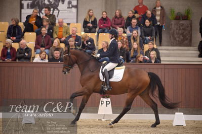 Blue Hors
4års dresssur finale
Nøgleord: rally von rossing;simone blomme rasmussen