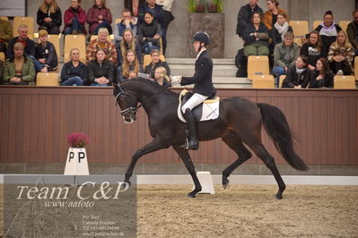 Blue Hors
4års dresssur finale
Nøgleord: anders uve sjøbeck hoeck;hesselhoej double up