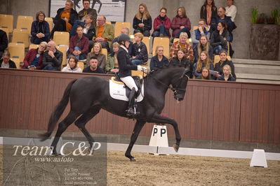 Blue Hors
4års dresssur finale
Nøgleord: freetown;jeanette høgberg