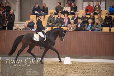 Blue Hors
4års dresssur finale
Nøgleord: anders uve sjøbeck hoeck;hesselhoej double up