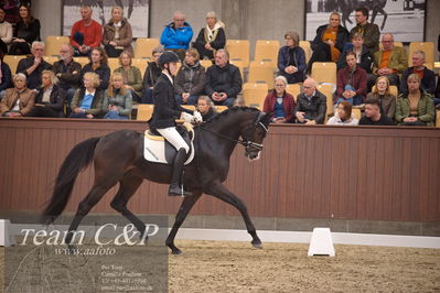 Blue Hors
4års dresssur finale
Nøgleord: anders uve sjøbeck hoeck;hesselhoej double up