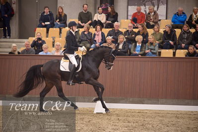 Blue Hors
4års dresssur finale
Nøgleord: anders uve sjøbeck hoeck;hesselhoej double up