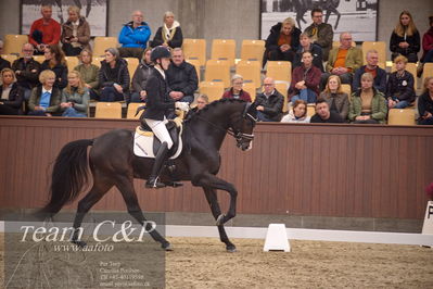 Blue Hors
4års dresssur finale
Nøgleord: anders uve sjøbeck hoeck;hesselhoej double up